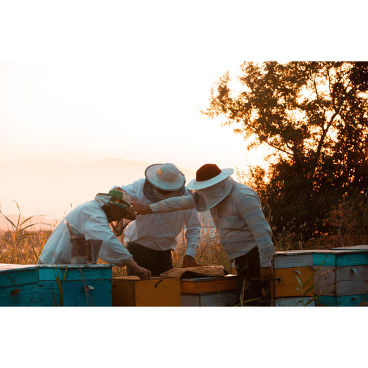204: Beekeeping Basics Workshop - Nutrient Farm