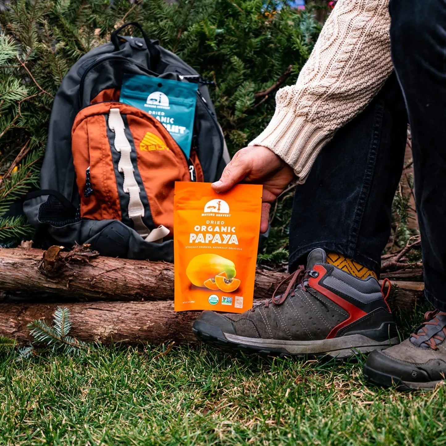 Dried Papaya (Organic)