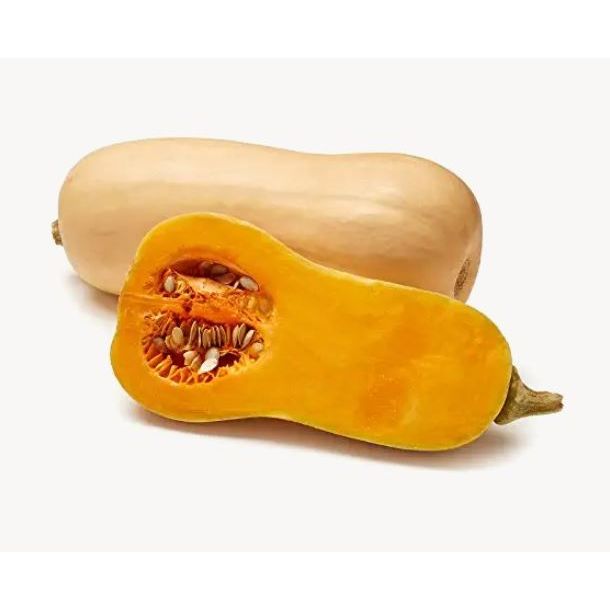 Squash Winter Butternut (Organic)