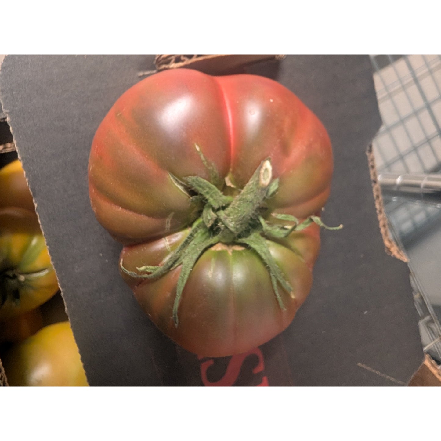 Tomato Heirloom Hybrid (Organic)