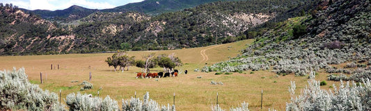 2019-04 progress at Nutrient Farm - Nutrient Farm