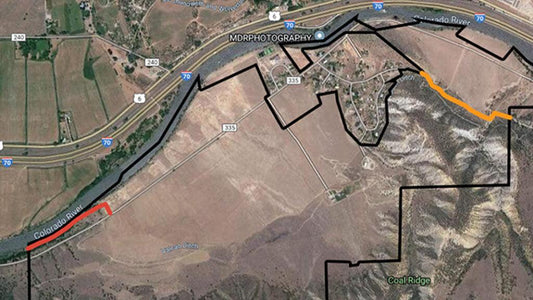 2019-07 progress at Nutrient Farm - Nutrient Farm