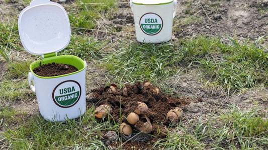 2020-04 progress at Nutrient Farm - Nutrient Farm