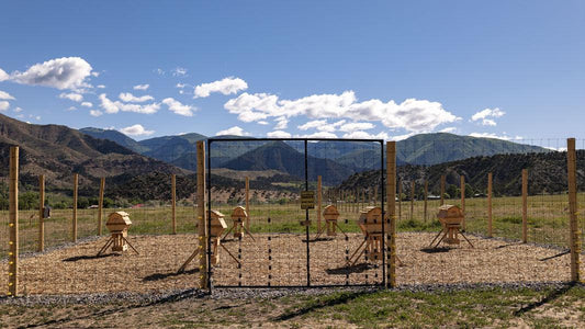 2020-05 progress at Nutrient Farm - Nutrient Farm