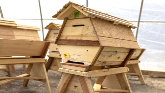 2021-03 progress at Nutrient Farm - Nutrient Farm