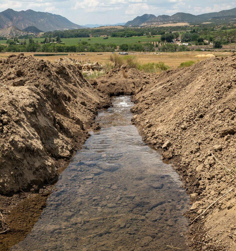 2021-07 progress at Nutrient Farm - Nutrient Farm