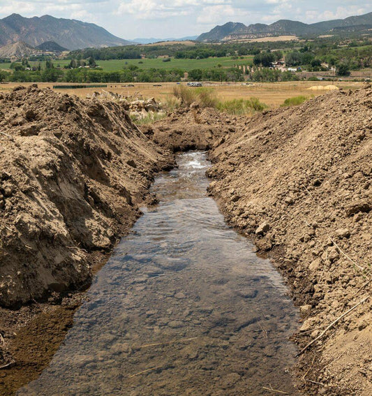2021-07 progress at Nutrient Farm - Nutrient Farm