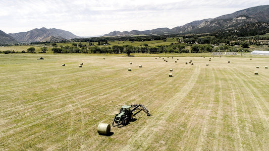 2023-07 progress at Nutrient Farm - Nutrient Farm