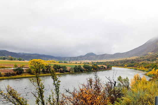 2023-10 progress at Nutrient Farm - Nutrient Farm