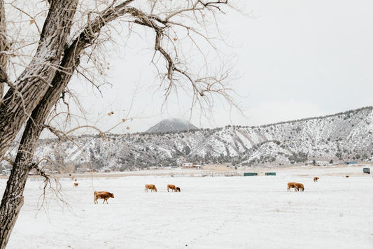 2023-12 progress at Nutrient Farm - Nutrient Farm