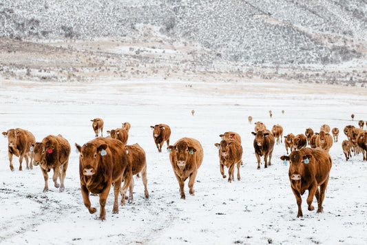2024-01 progress at Nutrient Farm - Nutrient Farm