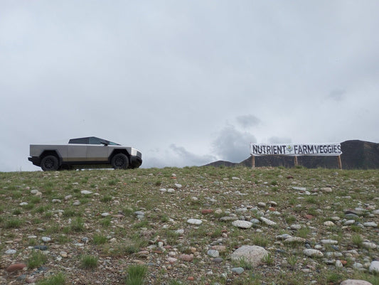 2024-04 progress at Nutrient Farm - Nutrient Farm