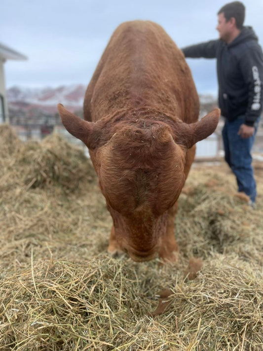 2025-11 Nutrient Farm New Products & Developments
