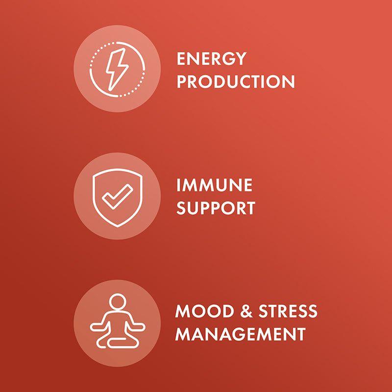 Ashwagandha (Organic)