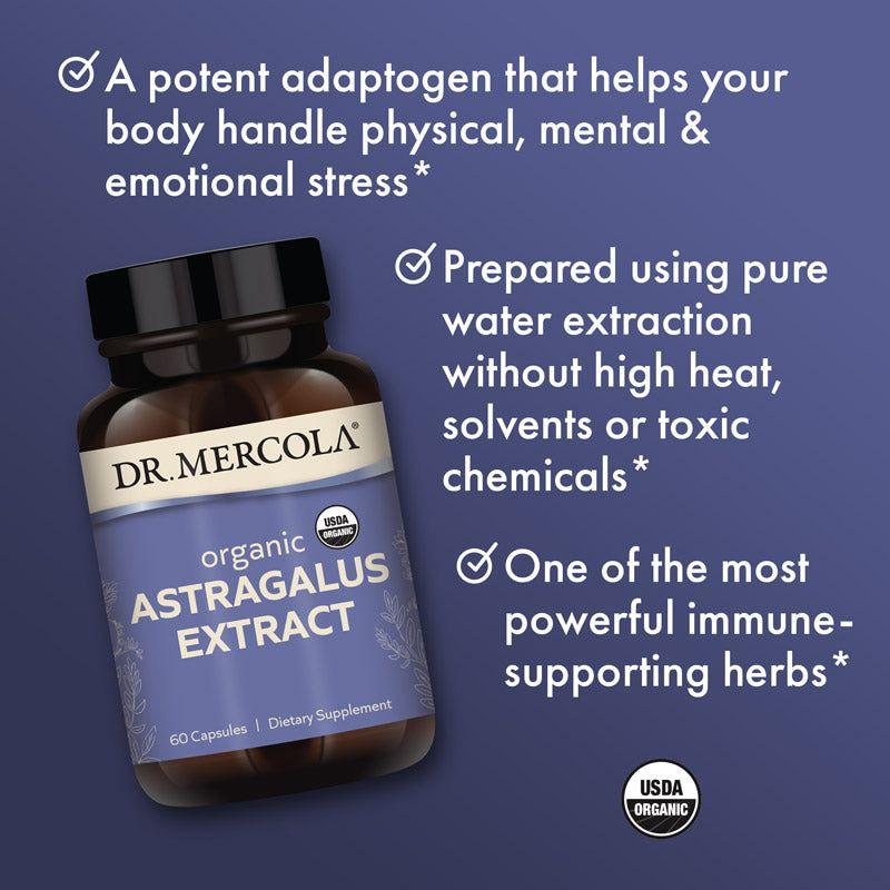 Astragalus Extract (Organic)