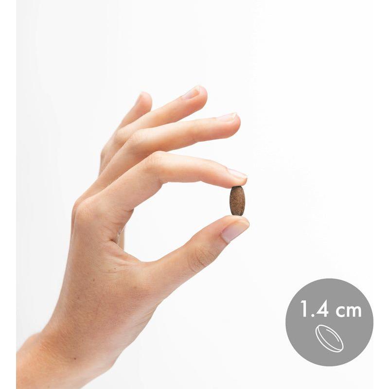 Astragalus Extract (Organic)