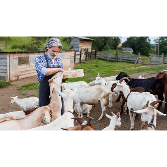203: Goat Ranching and Management Workshop - Nutrient Farm