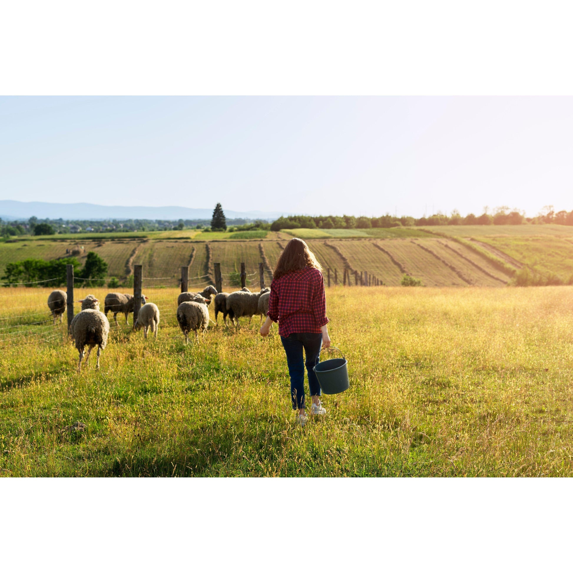 207: The Ranch Hand Experience Workshop - Nutrient Farm