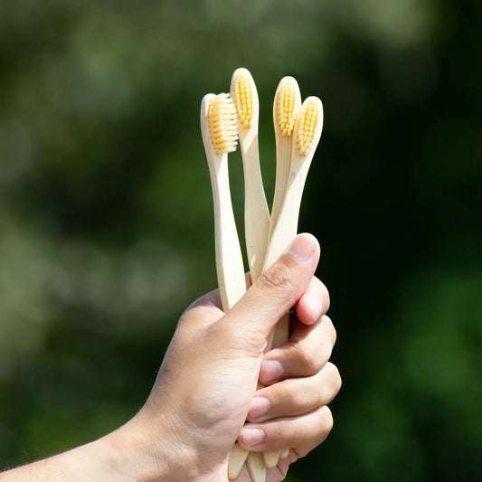 Boar Bristle Toothbrush
