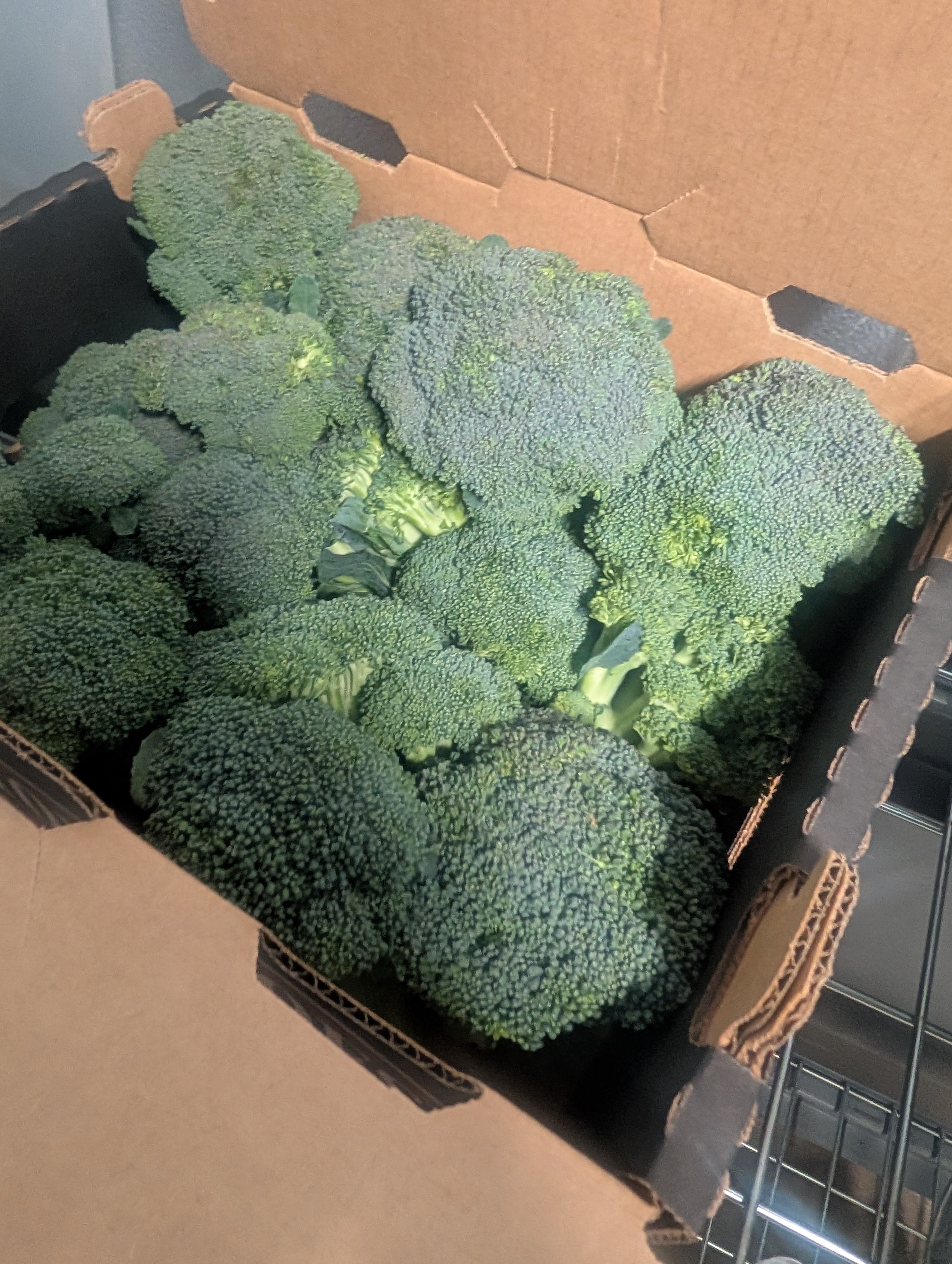 Broccoli (Organic)