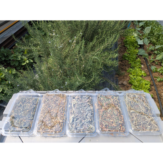 Herb Dried Bulk Box