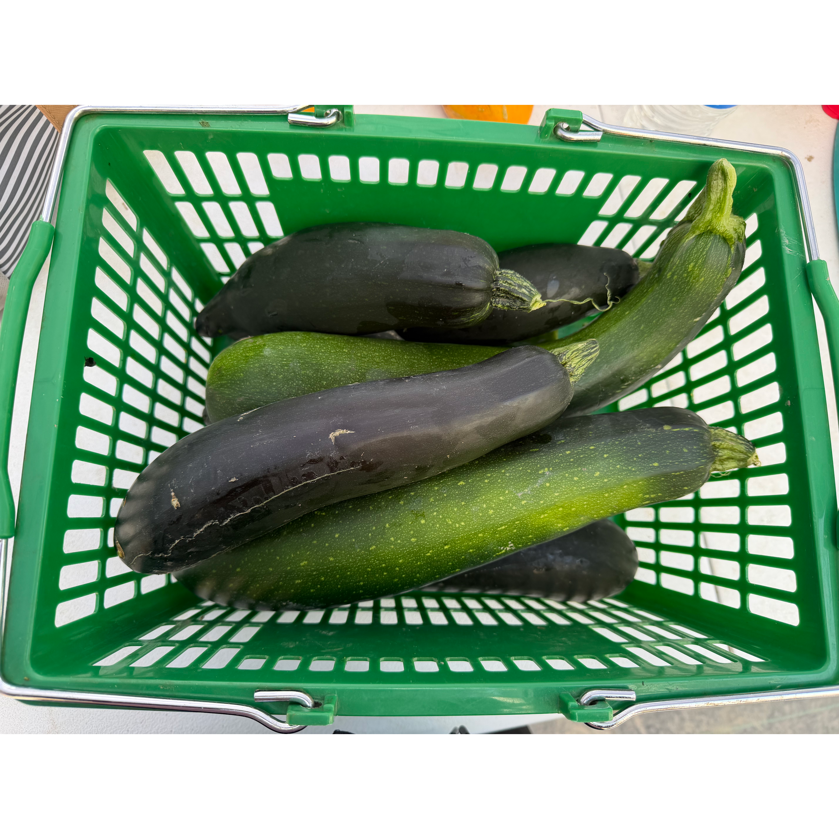 Squash Summer Zucchini (Organic)