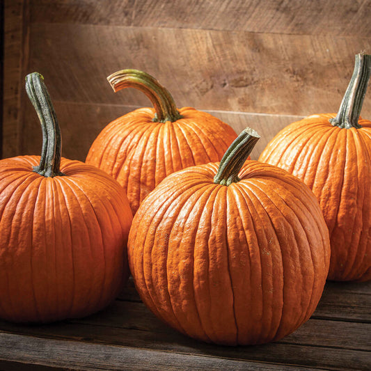 Pumpkin (Organic)