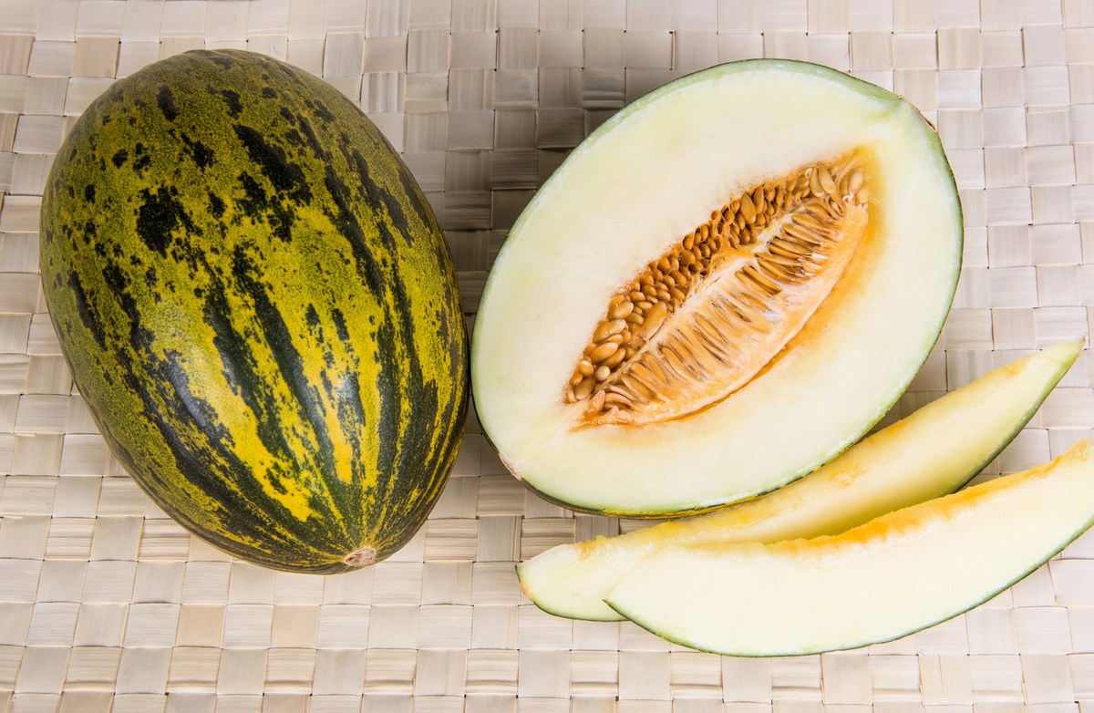 Melon Piel de Sapo (Organic)