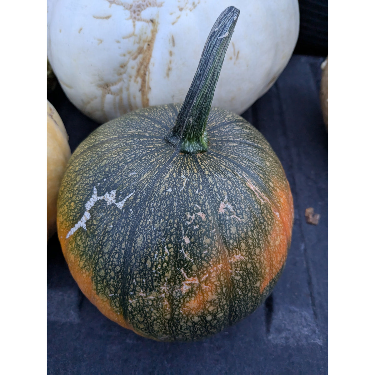 Pumpkin (Organic)