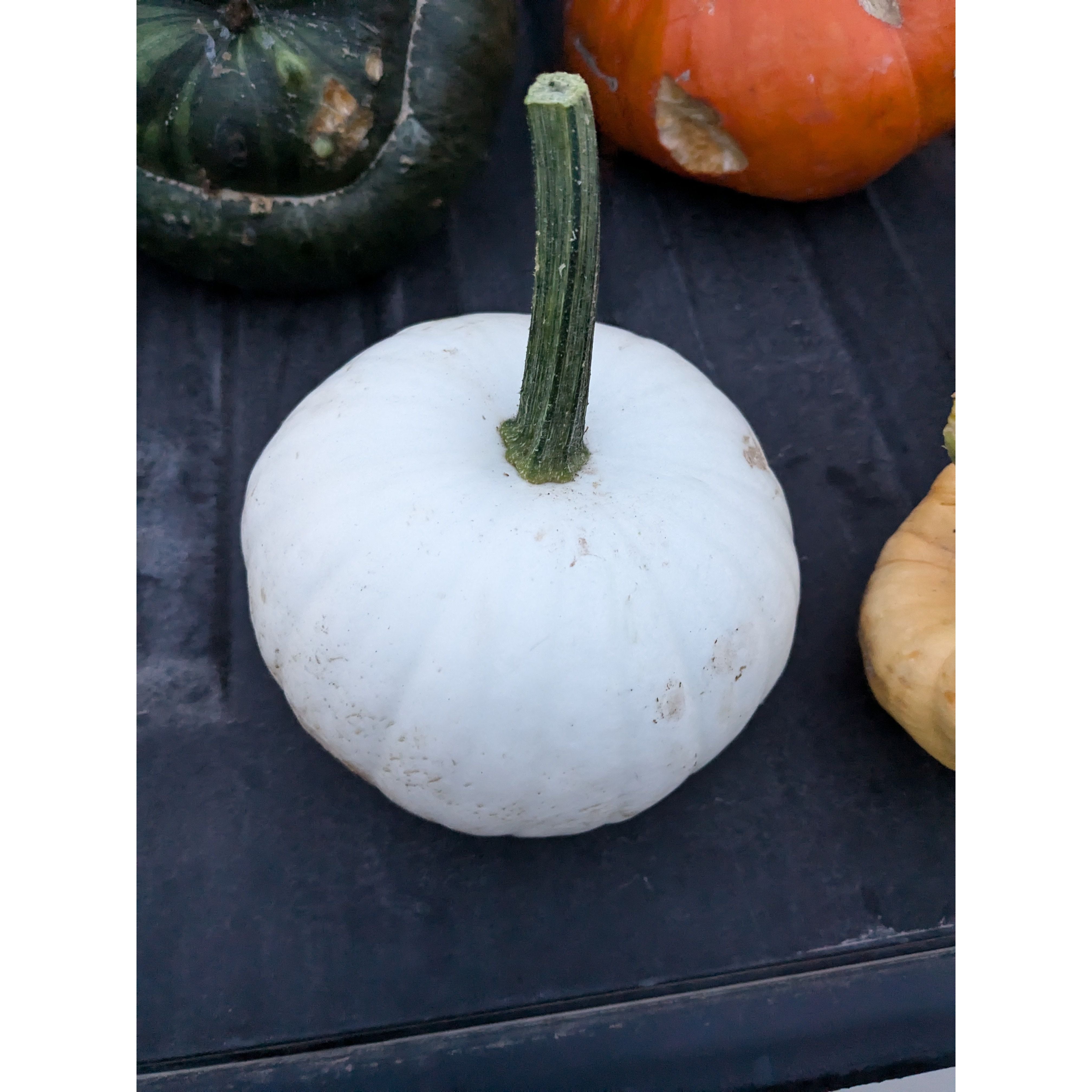 Pumpkin (Organic)