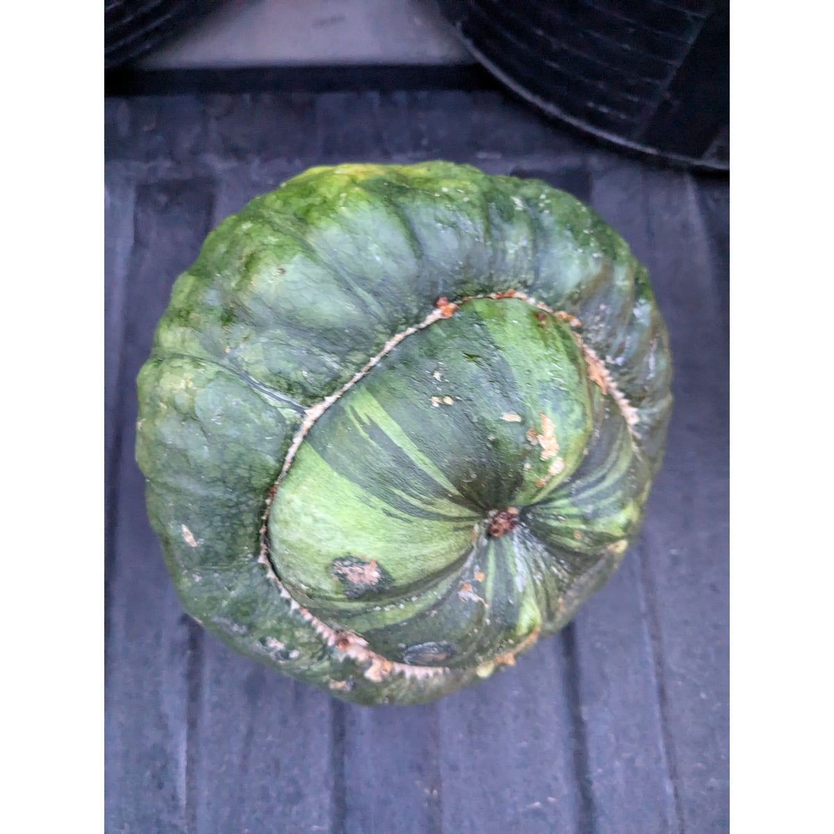 Pumpkin (Organic)
