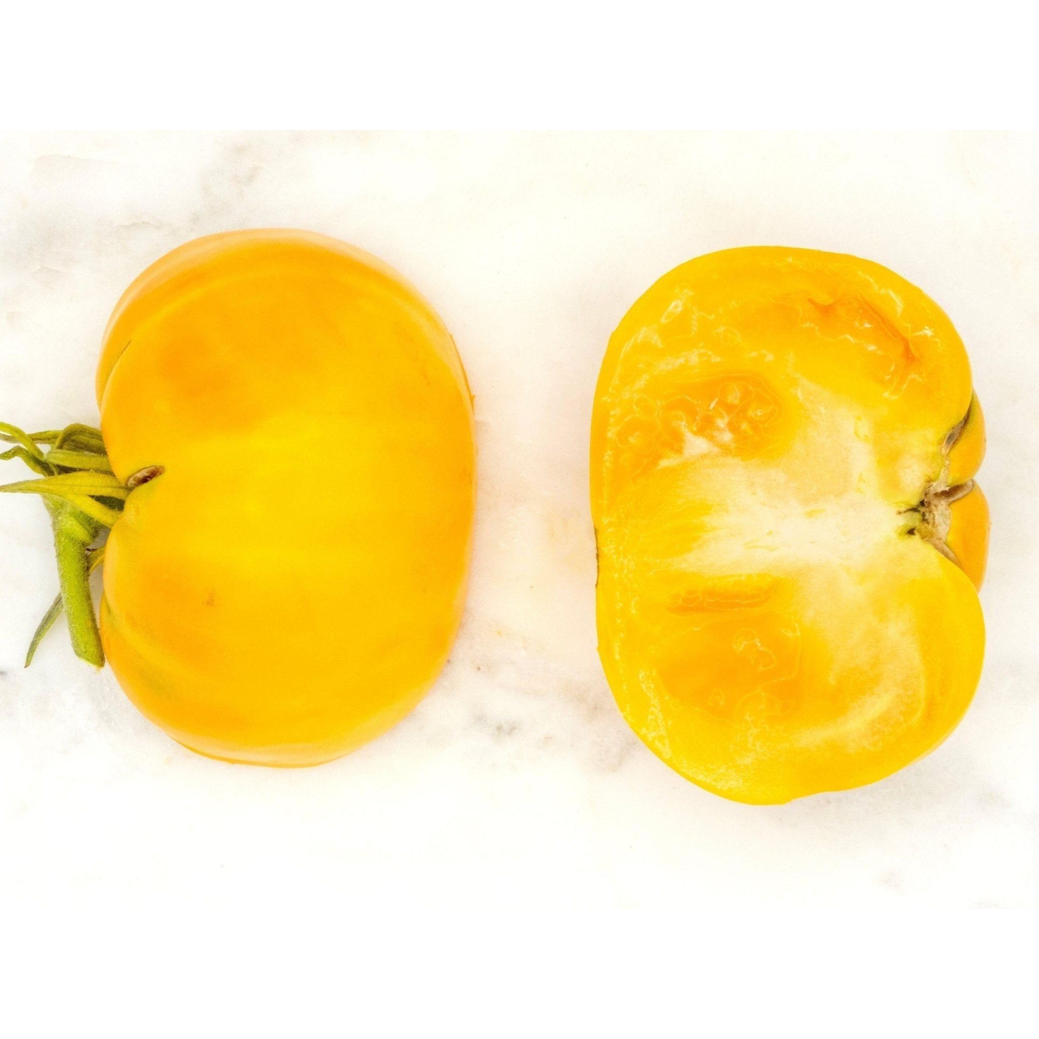 2025-11-15 Saturday 1:00pm - Tomato Tasting Extravaganza (18 varieties) and Greenhouse Tour