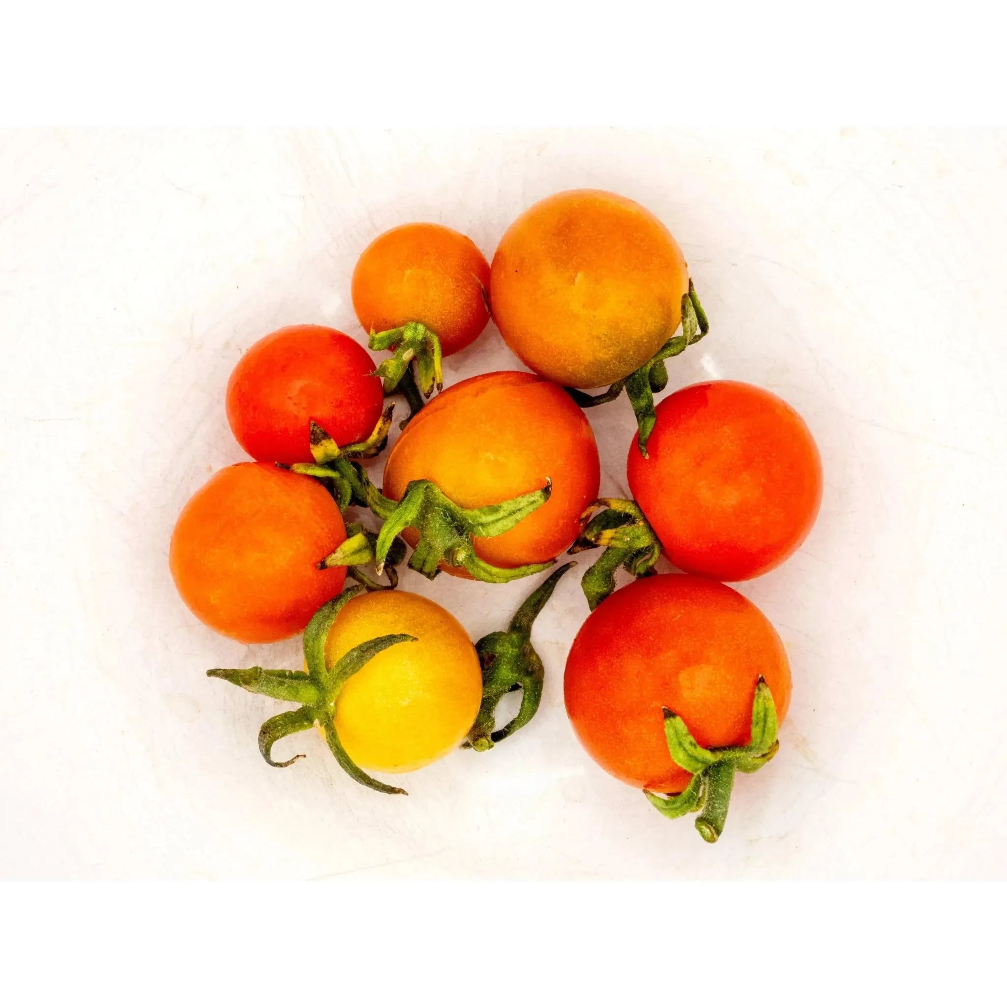Tomato Cherry (Organic)