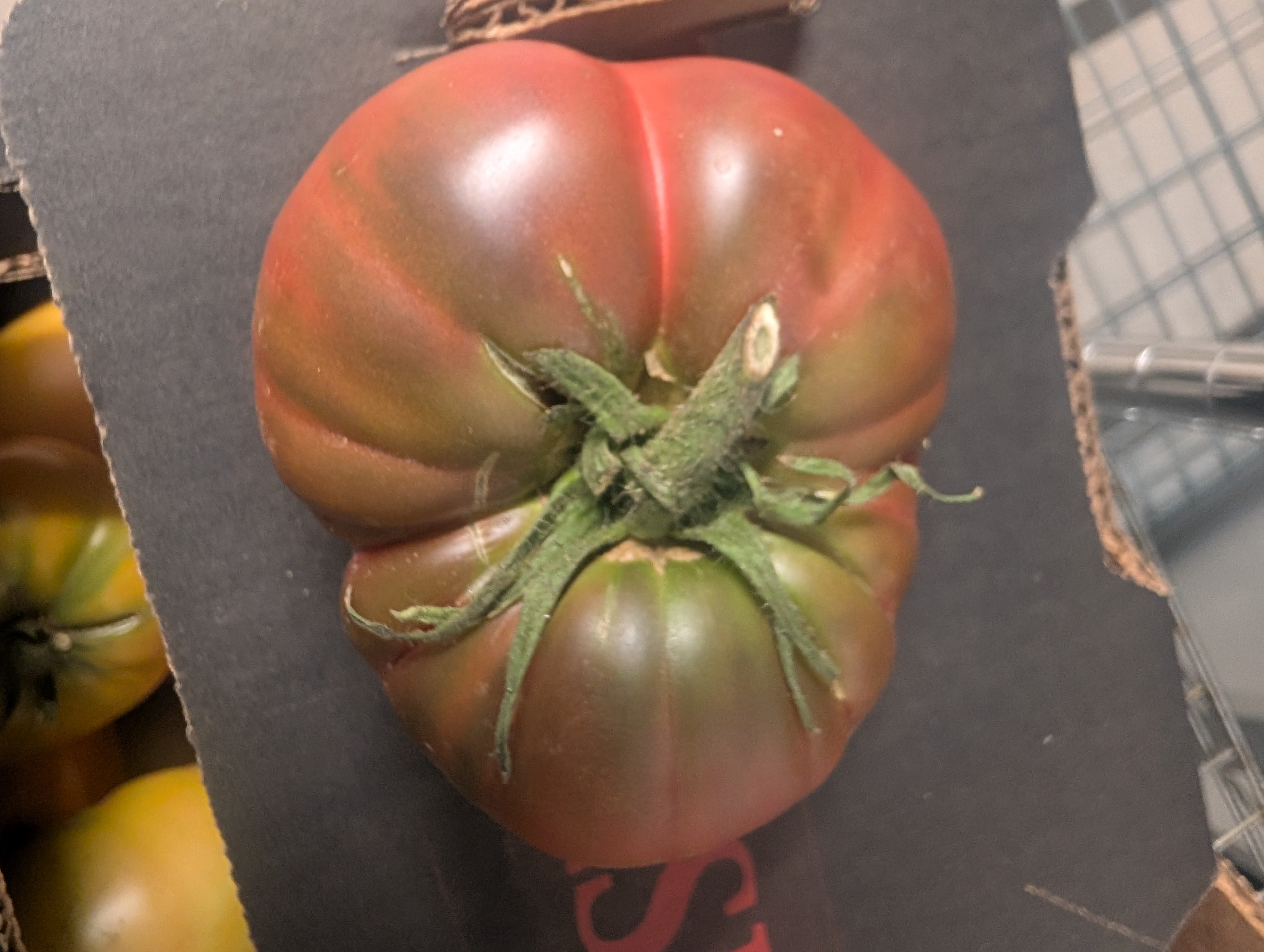 Tomato Heirloom Hybrid (Organic)