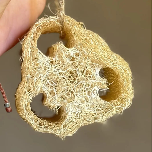 Loofah - Dish + Body Scrubby