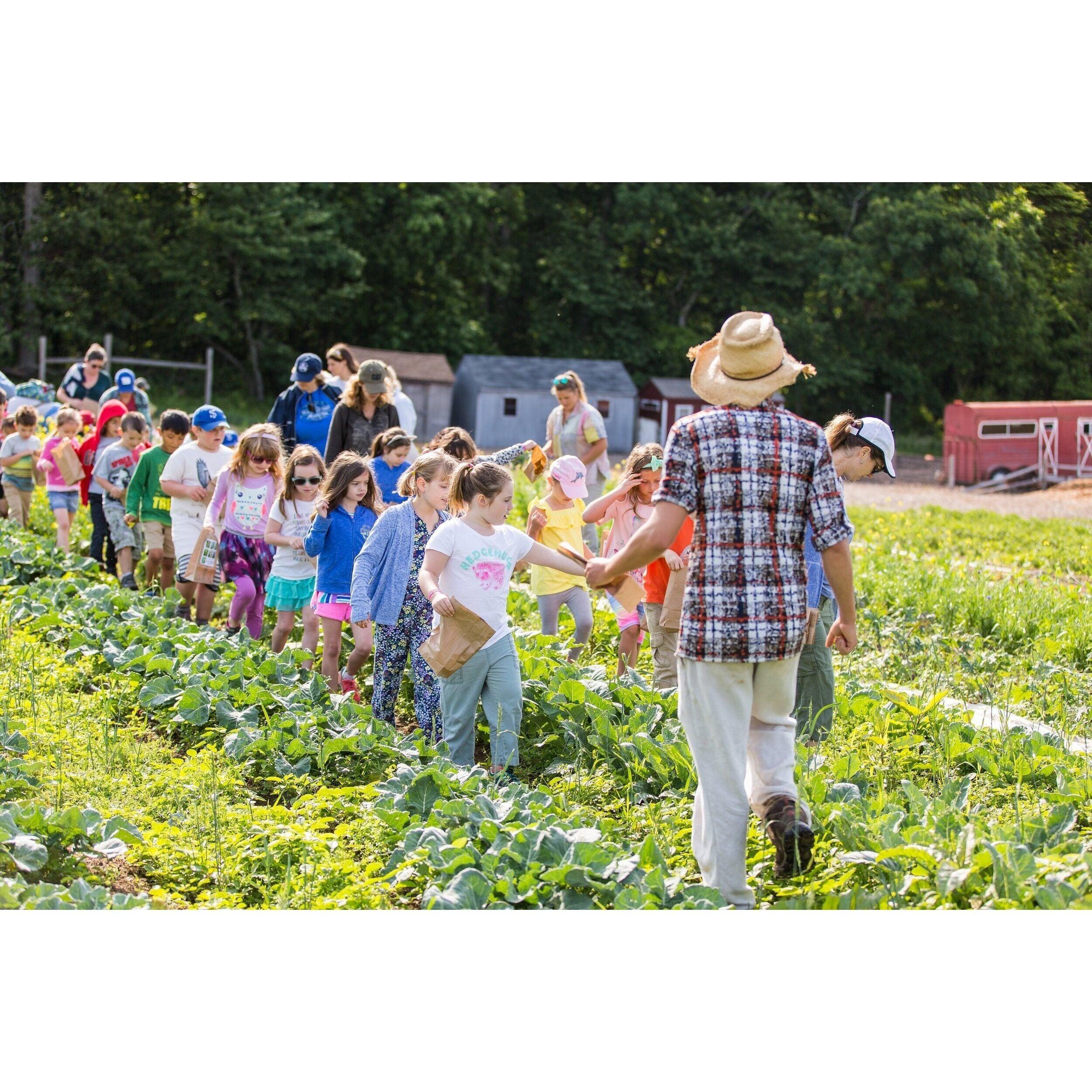 Grade School / Junior High Field Trip Tour - Nutrient Farm