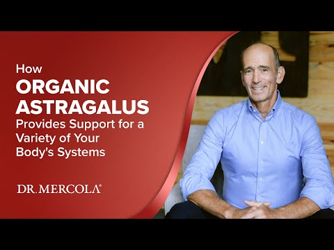 Astragalus Extract (Organic)