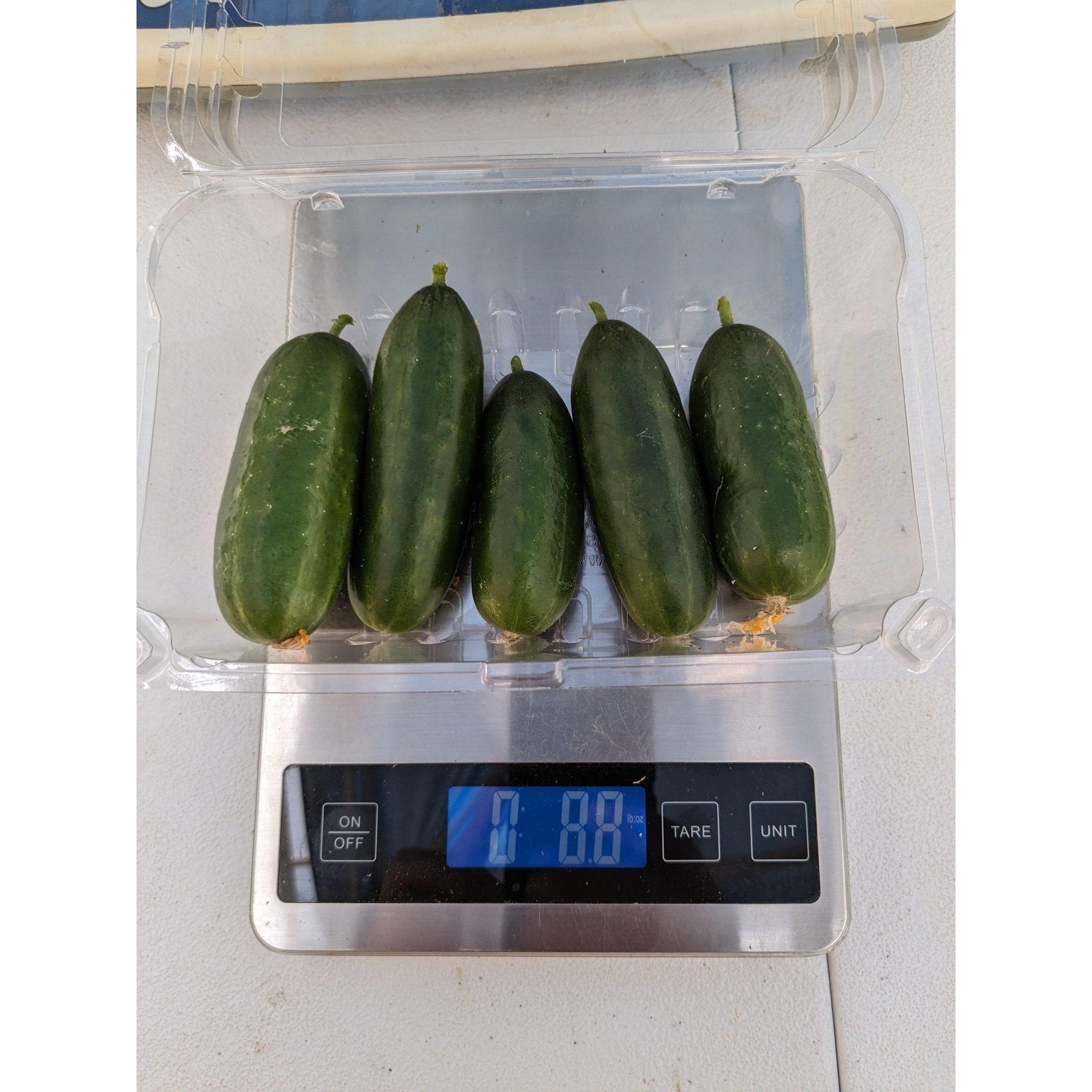 Soil - Grown Cucumber - Nutrient Farm