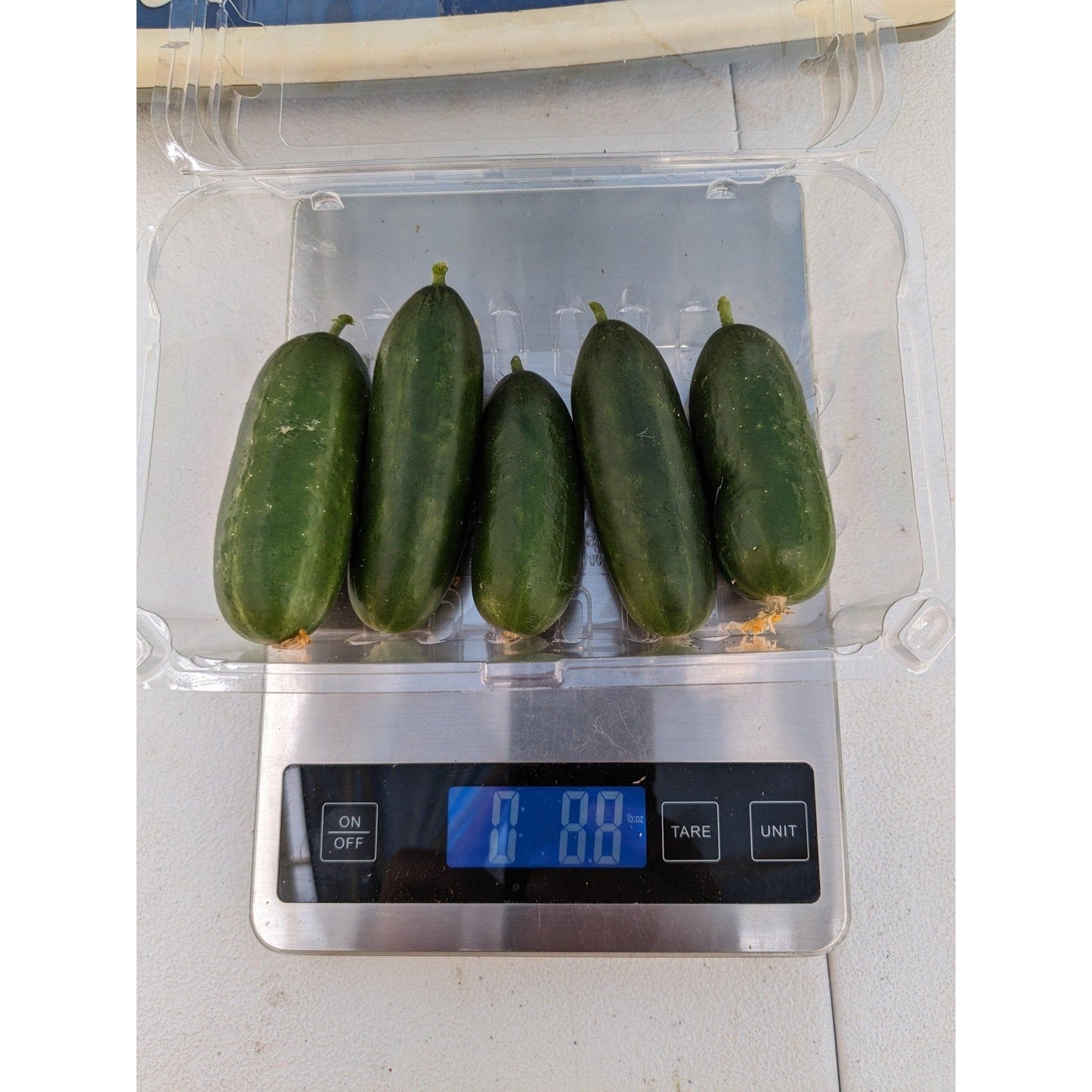 Soil - Grown Cucumber - Nutrient Farm