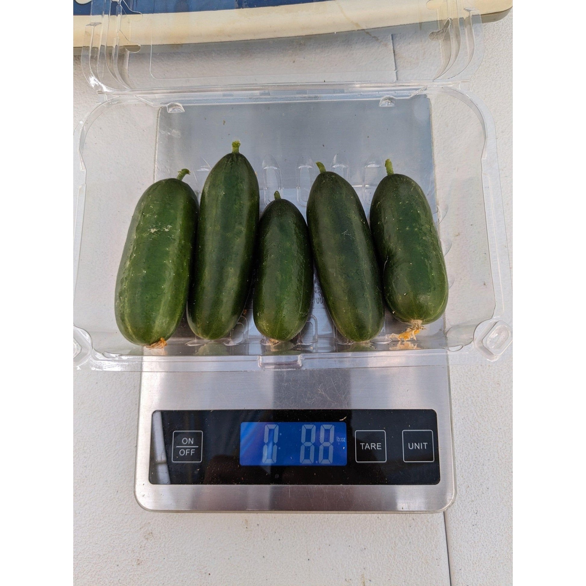 Soil - Grown Cucumber - Nutrient Farm