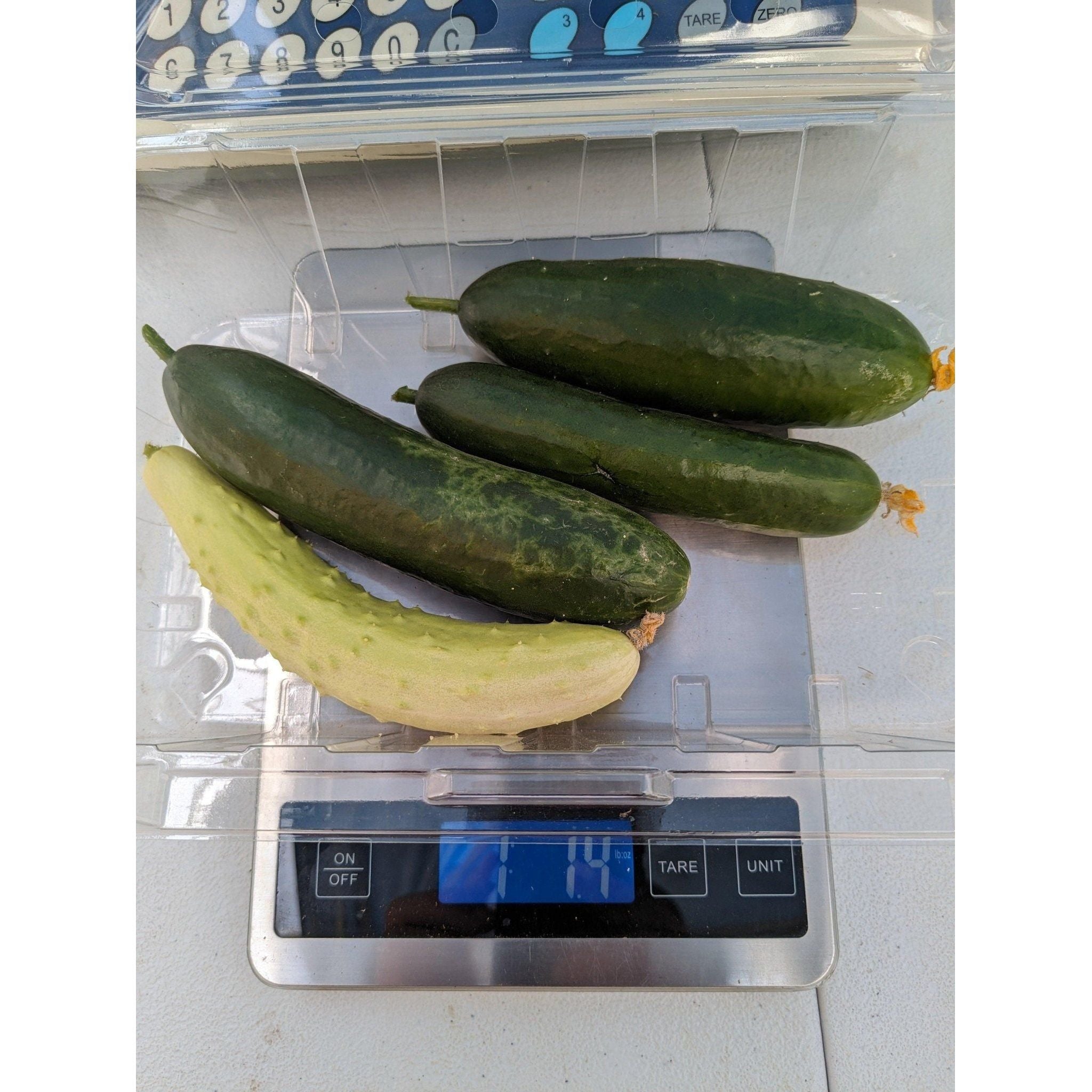 Soil - Grown Cucumber - Nutrient Farm