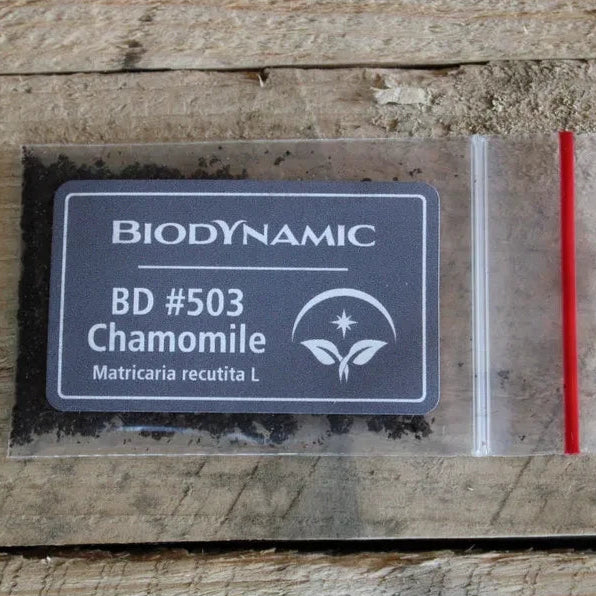 Biodynamic Preparation #503 Cow Small Intestine fermented German Chamomile