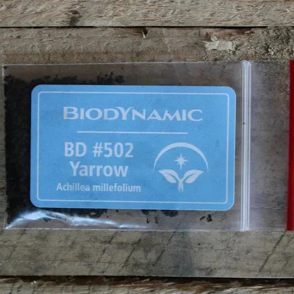 Biodynamic Preparation #502 Stag Bladder fermented Yarrow