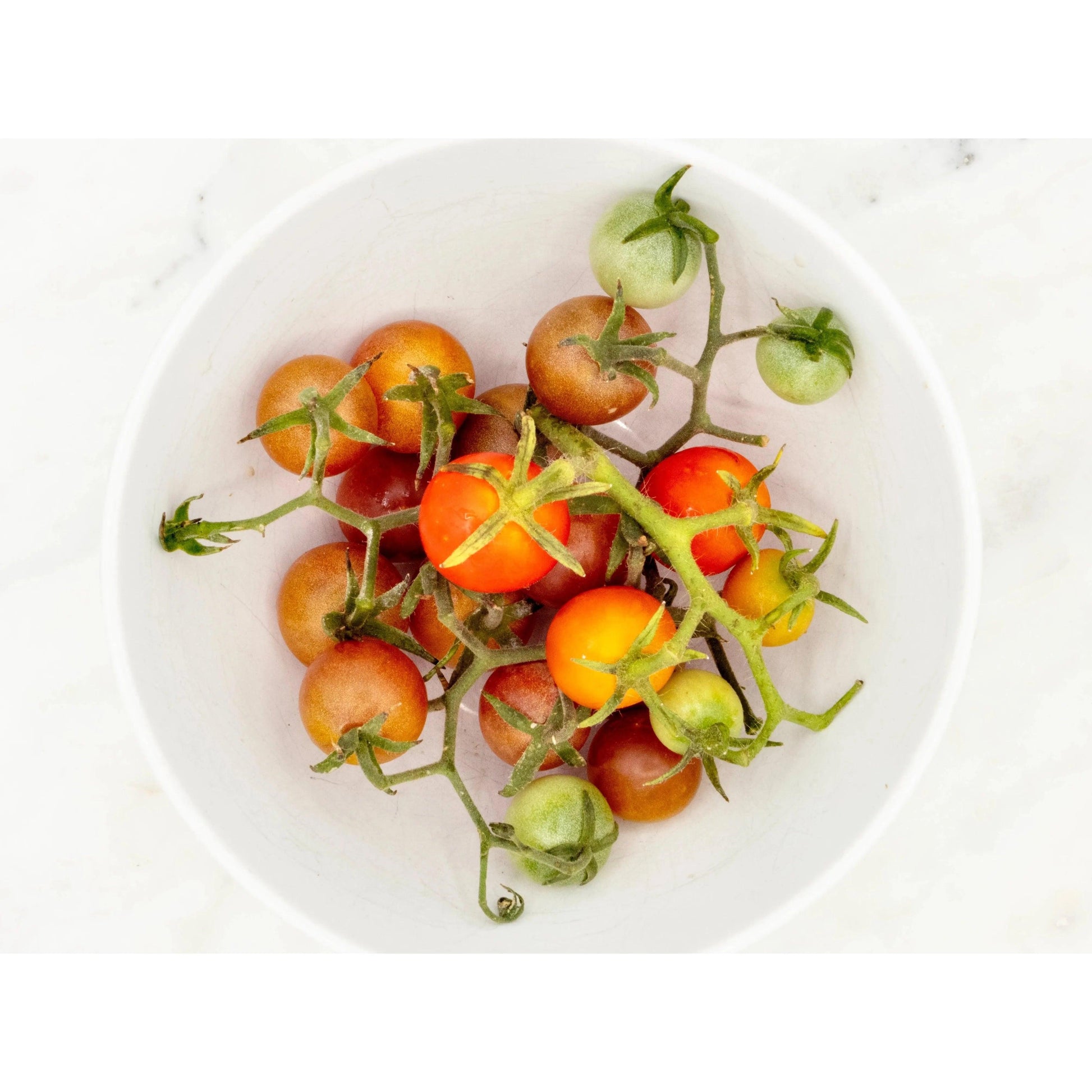 Soil-Grown Tomato Cherry - Nutrient Farm