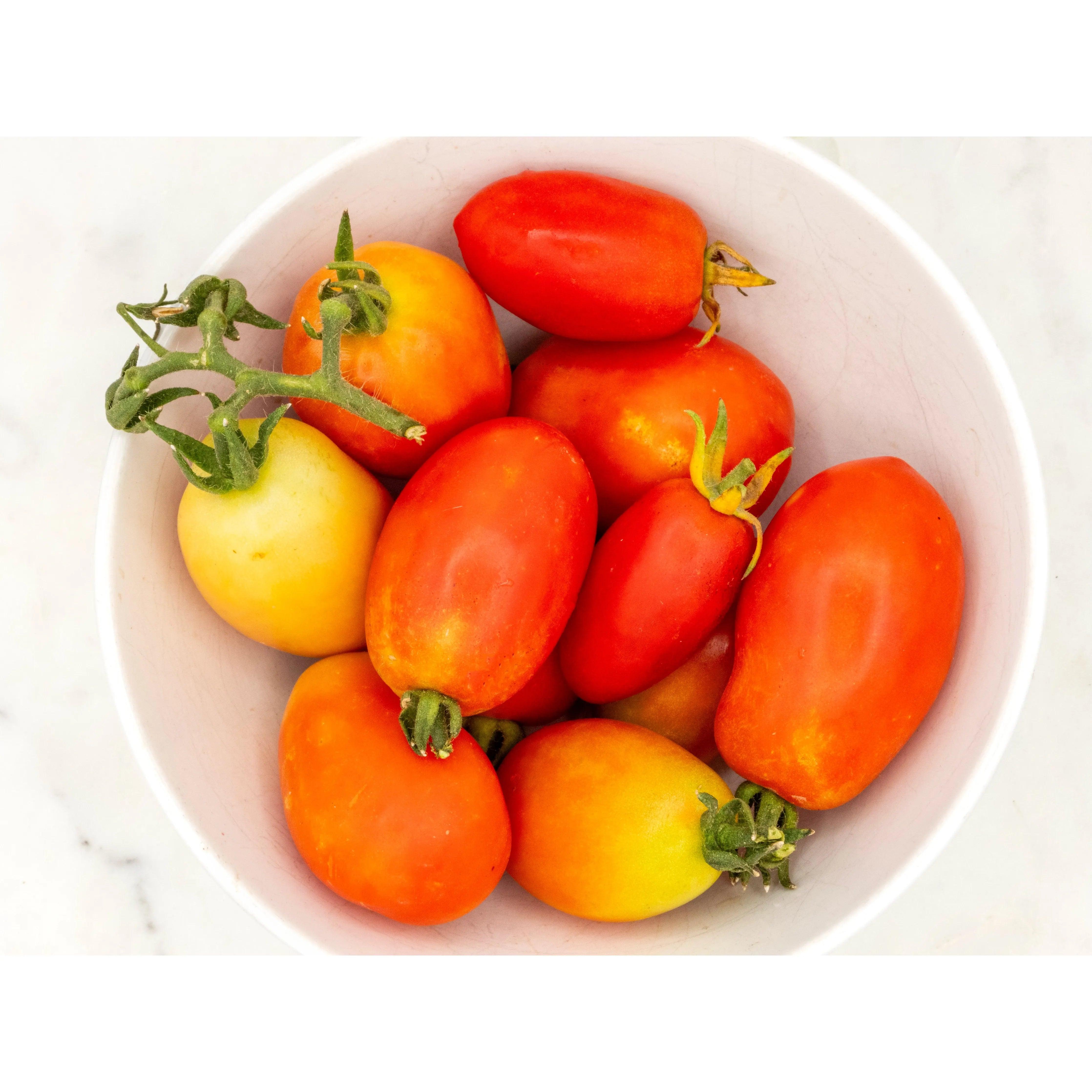 Soil-Grown Tomato Roma - Nutrient Farm